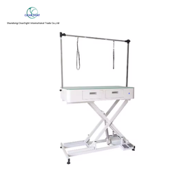 Double-Sided Storage Electrically Elevating Pet Grooming Table
