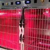 Stainless Steel Heavy-Duty Heating Lamp Oxygen Cage
