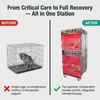 Veterinary Transparent Acrylic Chamber with Adjustable Oxygen Cage for Dogs Flow Meter for Cats Pet Hospital Clinic Use