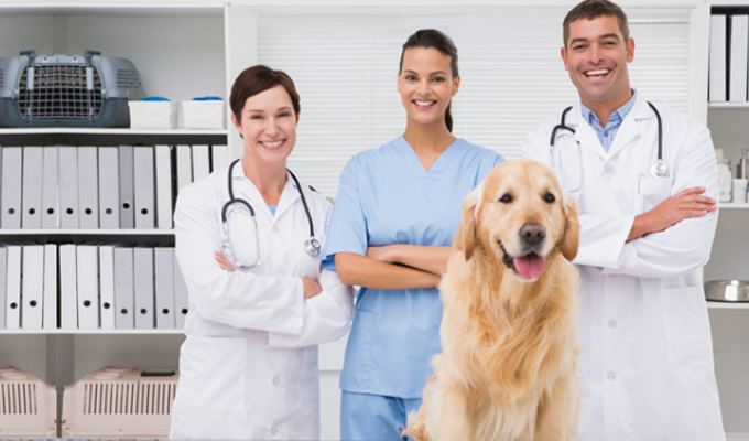 ClearSight PetCare Solutions — Your Professional Partner in Pet Medical and Grooming Equipment