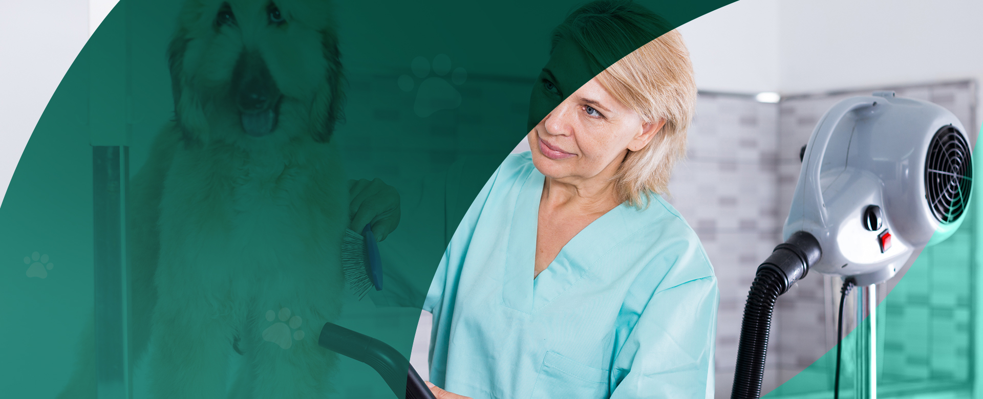 Veterinary Solutions for Animal Hospitals & Clinics