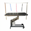 Advanced Pet Care Grooming Tool Sturdy Metal Frame 500-900mm Double Arms for Safe Pet Handling Hydraulic Grooming Table