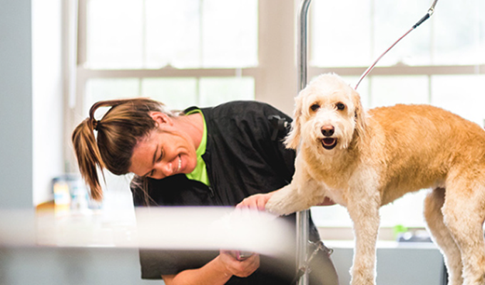 ClearSight PetCare Solutions Service Policy Overview