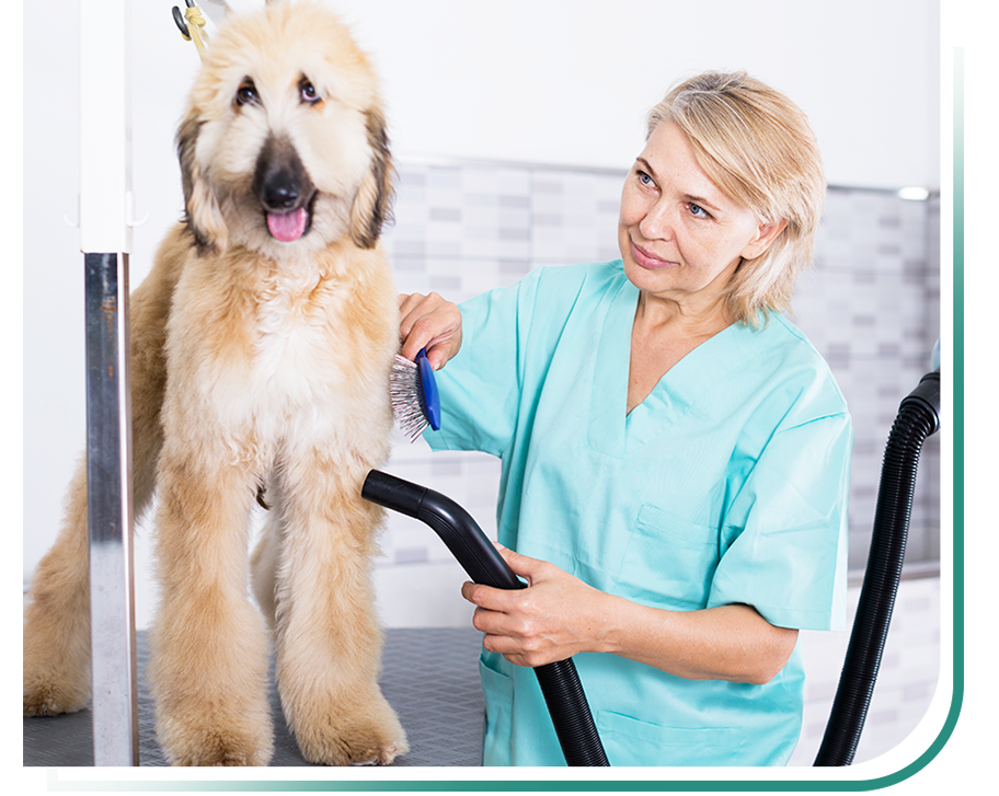 Pet Hair Dryer and Stretcher