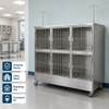 304 Stainless Steel 6 Unit Veterinary Cage Bank