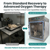 Veterinary ICU Oxygen Therapy Chamber for Critical Care